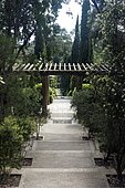 Domaine du Rayol, le Jardin des Méditerranées Mention obligatoire “La perspective”, axe structurant du jardin. Au premier plan à droite Callistemon sp.