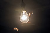 Moths flying around a light bulb, Lorraine, France