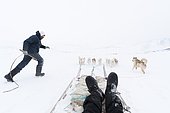 Dog sledge, Ilulissat, Disko bay, Greenland.
