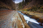 Rivière Le Chéran, watercourse labeled "Wild River" by the Fonds for the Conservation of Wild Rivers. Héry sur Alby. Bauges massif Regional Nature Park, Haute-Savoie, Alps, France