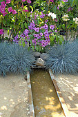 Water and Garden - Fescue, Surfinia, and Bougainvillea, Jardins de Chaumont sur Loire Festival 2015