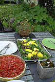 Strawberry tart, garden salad and saffron calf egg, homemade organic meal served in the garden