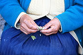 Hands of a close-up woman eating coca leaves, Cuzco, Peru