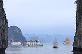 Halong Bay, a UNESCO World Heritage Site, tourist boats stopping overnight, Vietnam,
