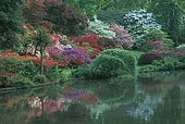 Exbury gardens, Exbury, Southampton, Hampshire, England