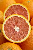 Cara cara navel, red-fleshed navel (Citrus x sinensis) cut fruit