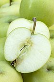 Apple 'Transparente blanche'. Syn.: 'Papirovka'. (Pomme précosse d'été, pomme des moissons).