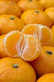 Kishu mandarins, Citrus kinokuni