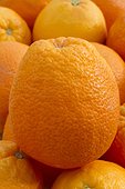 Oranges 'Navel'