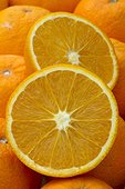 Oranges 'Navel Late'