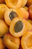 Apricot (Prunus armeniaca) 'Bergeron' fruits
