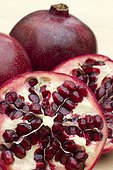 Pomegranate (Punica granatum)