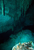 Cave Diving in a Yucatan Cenote, Mexico