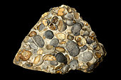 Hertfordshire puddingstone ,conglomerate sedimentary rock composed of rounded flint pebbles cemented together by a younger matrix of silica quartz. The distinctive rock is largely confined to the English county of Hertfordshire but small amounts occur throughout the London Basin