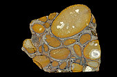 Hertfordshire puddingstone, Conglomerate sedimentary rock consisiting of flint pebbles cemented by quartz matrix, Hertfordshire England