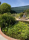 Walker and pond with water lilies in the Garden of Natural History Museum of Toulouse, France