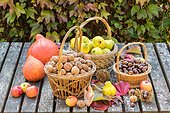 Harvest of fruits and vegetables in a garden in autumn, Lorraine, France