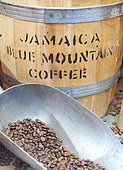 Coffee beans, Jamaica origin, Blue Mountain, one of the best and most expensive arabicas