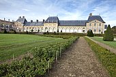 Boxwood embroidery, Replacement of sick boxwood by Japanese Holly (Ilex crenata) in the foreground, on an experimental basis, Château de Vaux-le-Vicomte, France