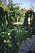 Private garden of topiaries in Beerse, Belgium.