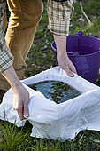 Make your own nettle manure. Filter