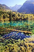 Colorful lake, Jiuzhaigou valley, Sichuan, China