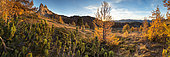 Coucher du soleil d'automne. Pin cembro et mélèzes aux couleurs d'automne sous la pointe de la Selle dans le Queyras, Hautes-Alpes.
