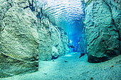 Scuba diver inside the volcanic crack Nesgjá, in the Ásbyrgi National Park, northern Iceland