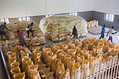 Preparation of bags for export to Europe, Drying and Bagging Center, CECAB, Organic Cocoa Production and Export Cooperative, Fair Trade, Guadalupel, Sao Tome and Principe Island