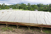 Solar dryer, Drying and bagging center, CECAB, Organic Cocoa Production and Export Cooperative, Fair Trade, Guadalupel, Sao Tome and Principe Island