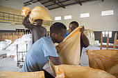 Preparation of bags for export, Bagging and drying center, CECAB, Organic Cocoa Production and Export Cooperative, Fair Trade, Guadalupel, Sao Tome and Principe Island