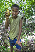 Boy showing a mature cocoa pod in a plantation, Bela Vista Village, Sao Tome and Principe Island