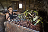 Fermentation tank in the cocoa bean processing center, CECAB, Organic Cocoa Production and Export Cooperative, Fair Trade, Manha Sol, Sao Tome and Principe Island