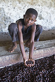 Boy holding cocoa beans in a dryer, Bela Vista Village, Sao Tome and Principe Island
