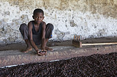 Boy holding cocoa beans in a dryer, Bela Vista Village, Sao Tome and Principe Island