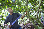 José, cocoa producer, Santana, Sao Tome and Principe Island