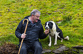 Farmer Brendan Ferris, Sheep-dog Trial, Caitins, Kells Area, Ring of Kerry, Iveragh Peninsula, County Kerry, Ireland, Europe