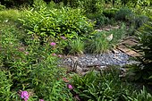 Private garden, Fortune meadowsweet (Spiraea japonica) 'Shirobana', Pineapple Lily (Eucomis autumnalis), slate path, Little Bluestem (Schizachyrium scoparium) 'Blue haven'