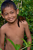 Treeshrew (Tupaia glis) or (Tupaia chrysogaster) ? on boy's shoulder, Siberut island, Mentawei, Indonesia. Controlled conditions.