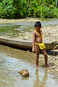 Sunda pangolin (Manis javanica) in water and boy, Siberut, Mentawai, Indonesia
