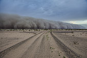 Sand storm over Najd Plateau, Saudi Arabia