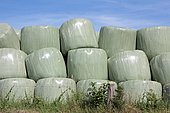 Enrubannage sous film plastique conservation des récoltes Round Baller de foin (herbe) Barenton, Manche, Normandie, France, Europe Juillet 2016