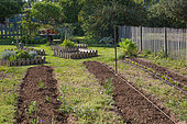Preparation for tomato cultivation in a kitchen garden - Provence - France