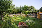 Jardin potager au printemps, Provence, France