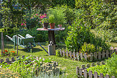 Potager en carrés, brouette, petite table et plantes aromatiques en juin, Provence, France