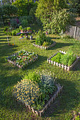 Square foot kitchen garden in june, Provence, France