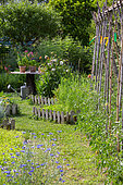 Square foot kitchen garden and tomatoes supported, Provence, France