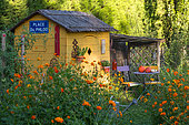 Cabane et coin détente dans un jardin en juillet, massif de Cosmos sulphureus, Provence, France