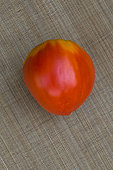 Tomate 'Cœur de Bœuf', Provence, France