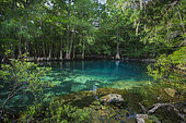 Manatee Springs State Park, Suwanee river, Florida, USA